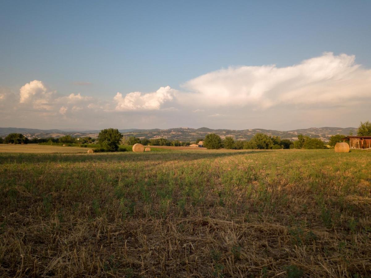 Agriturismo Consalvi Valentina Маршіано Екстер'єр фото