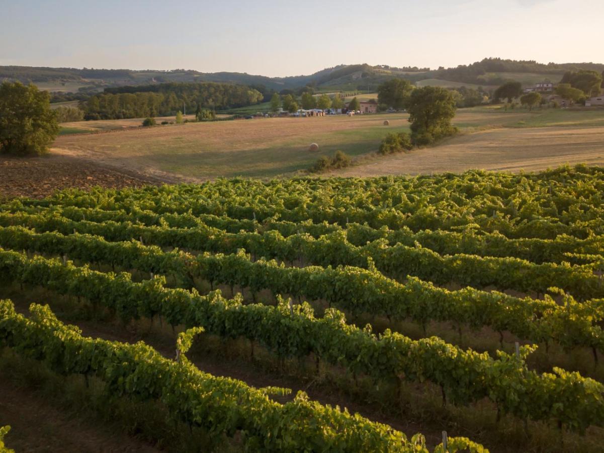 Agriturismo Consalvi Valentina Маршіано Екстер'єр фото