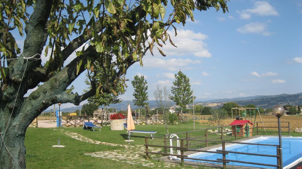 Agriturismo Consalvi Valentina Маршіано Екстер'єр фото