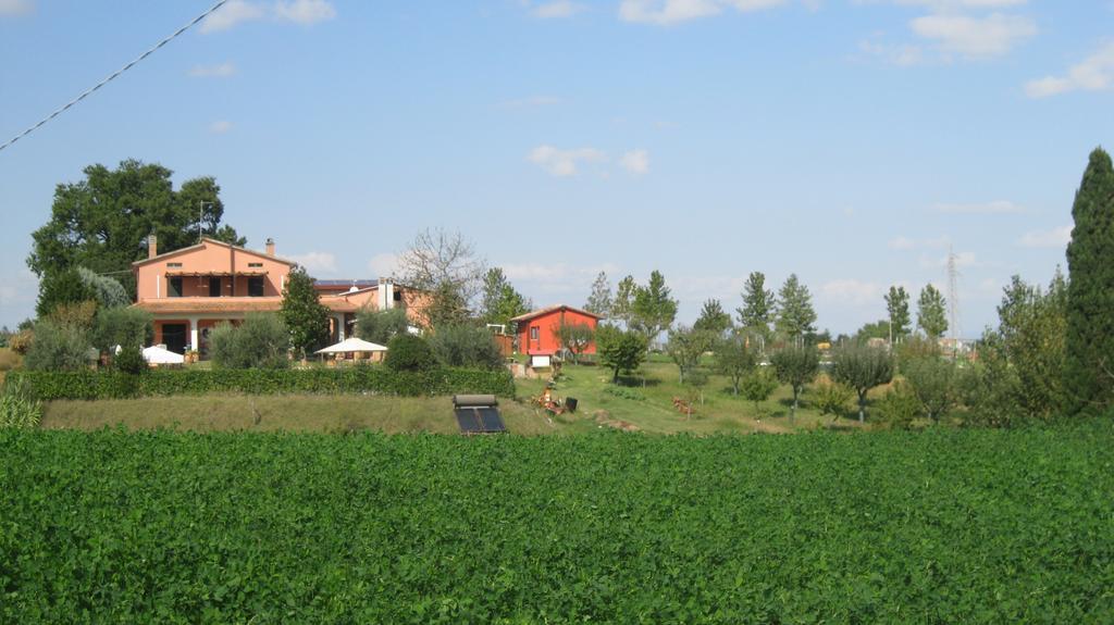 Agriturismo Consalvi Valentina Маршіано Екстер'єр фото